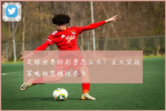 足球世界杯彩票怎么买?五大实战策略助您理性参与