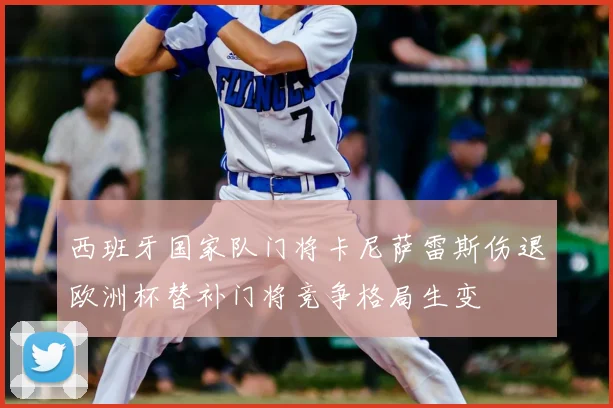 西班牙国家队门将卡尼萨雷斯伤退欧洲杯替补门将竞争格局生变
