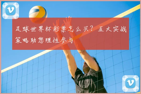 足球世界杯彩票怎么买?五大实战策略助您理性参与