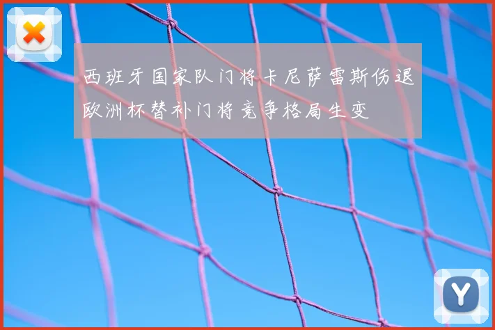 西班牙国家队门将卡尼萨雷斯伤退欧洲杯替补门将竞争格局生变
