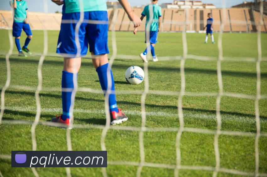 开云在线登录入口官网全站App